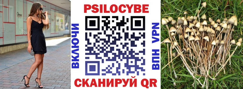 Галлюциногенные грибы GOLDEN TEACHER  купить наркотики цена  Полысаево 