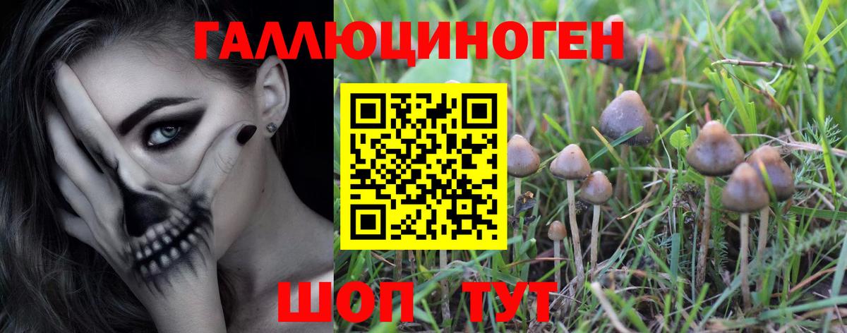 Псилоцибиновые грибы GOLDEN TEACHER Полысаево