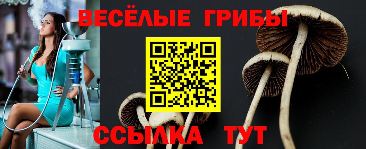 Полысаево  Галлюциногенные грибы ЛСД  Вход с VPN 